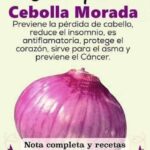 Descubre los Increíbles Beneficios de la Cebolla Morada para tu Salud