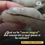 La Vena Negra del Camarón: ¿Qué Es y Debes Preocuparte por Comerla?