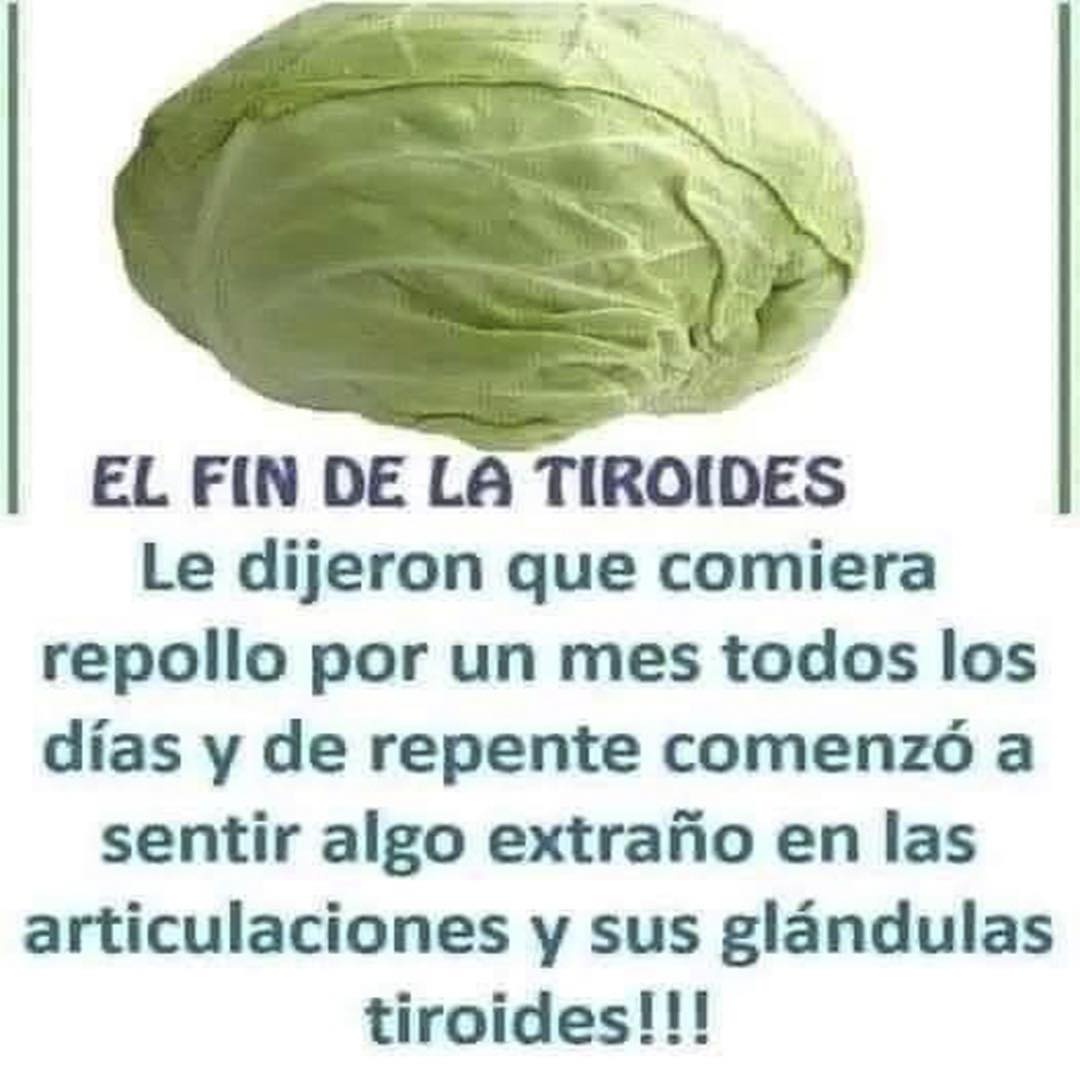 Repollo, un superalimento para la salud de la tiroides