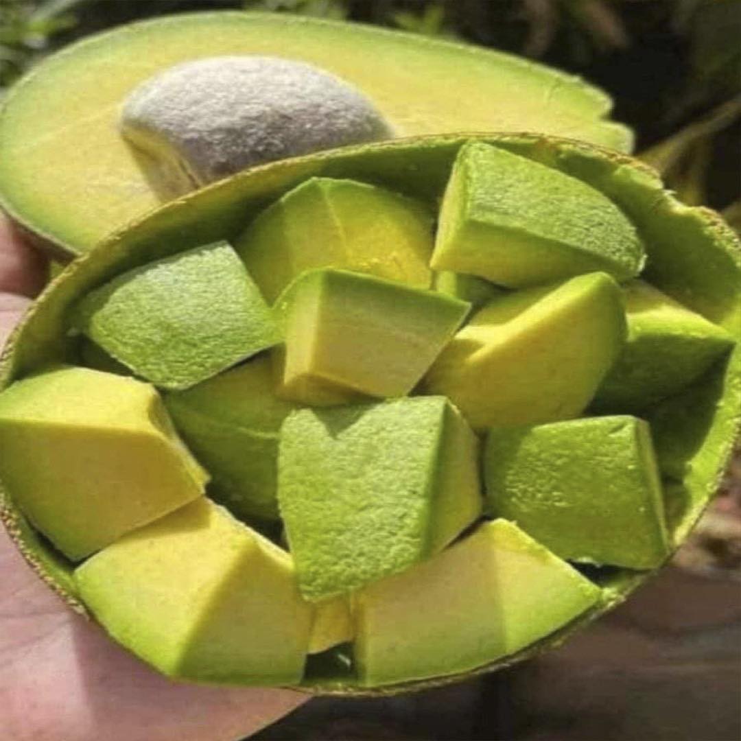 Aguacate cortado