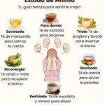 Infusiones Naturales: Tés para Mejorar tu Estado de Ánimo