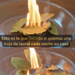 Los Beneficios Sorprendentes de Quemar Hojas de Laurel en Casa
