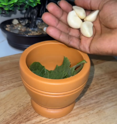 Ajo y Orégano en la Cocina