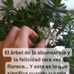 El Árbol de la Abundancia: Salud, Cuidado y Remedios Naturales