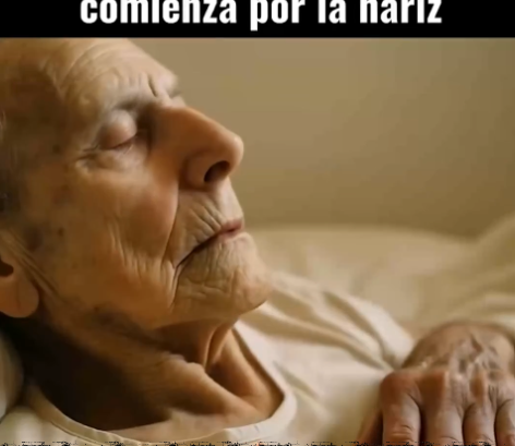 Ciclo de la vida y la muerte