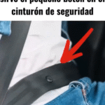 La Importancia del Pequeño Botón en el Cinturón de Seguridad
