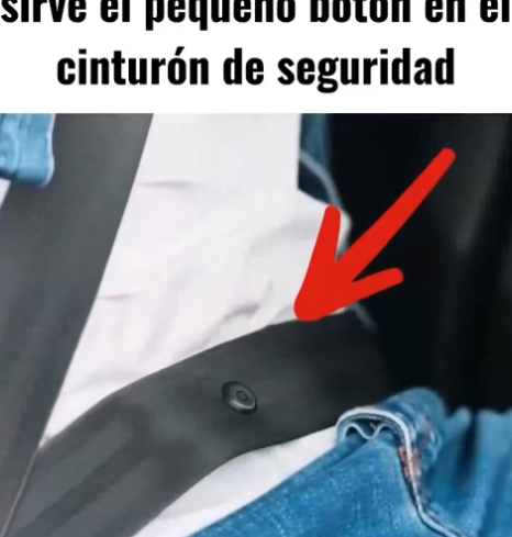 Cinturón de seguridad mostrando el botón de plástico