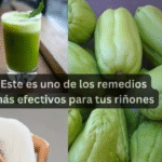 Remedios Naturales para Problemas Renales: Un Aliado en tu Salud