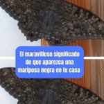 El Significado Espiritual de la Mariposa Negra y Marrón Oscuro