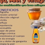 El Potente Remedio Casero de Ajo, Miel y Vinagre: Beneficios y Preparación