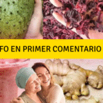 La Poderosa Mezcla de Flor de Jamaica, Jengibre y Guanábana: Beneficios para la Salud que No Puedes Ignorar