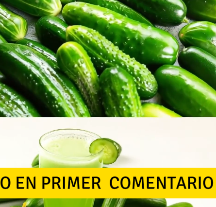 Recetas saludables para la visión