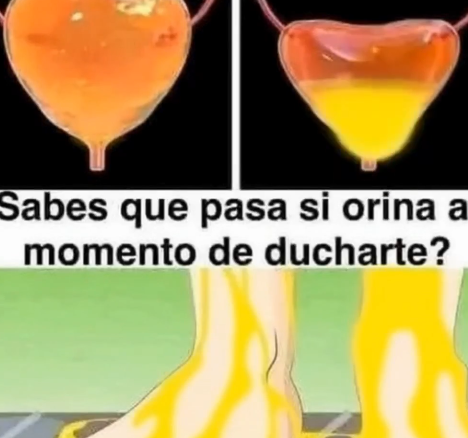 Beneficios de orinar en la ducha