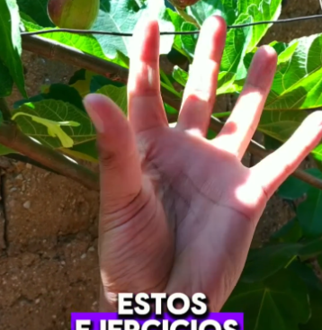 Ejercicios para la mente