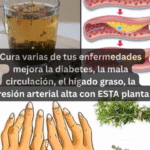 Los Beneficios del Tomillo: Remedios Naturales para Mejorar Tu Salud