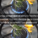Los Poderosos Efectos de Quemar Romero en Casa: Una Tradición que Transforma el Espacio