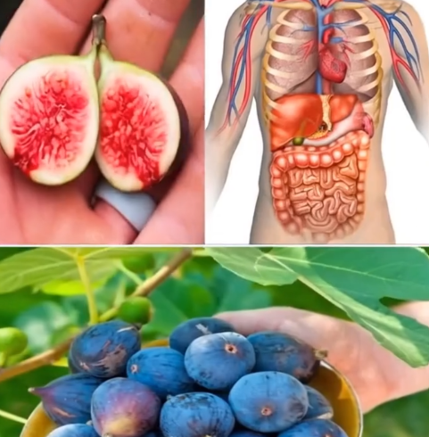 Beneficios de los higos
