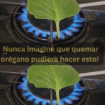 Los Increíbles Beneficios de Quemar Orégano: Aromaterapia Natural