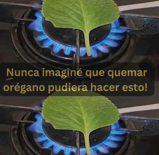 Orégano quemado
