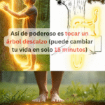 Tocar Árbol Descalzo: Una Conexión Vital que Puede Cambiar Tu Vida