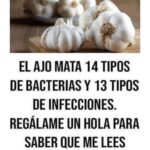 El Poder del Ajo: Un Solo Ingrediente que Protege tu Salud