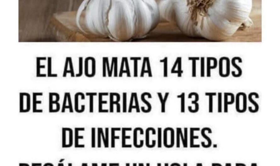 El Poder del Ajo: Un Solo Ingrediente que Protege tu Salud