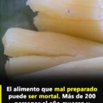 Yuca: Cómo Prepararla de Forma Segura y Saludable
