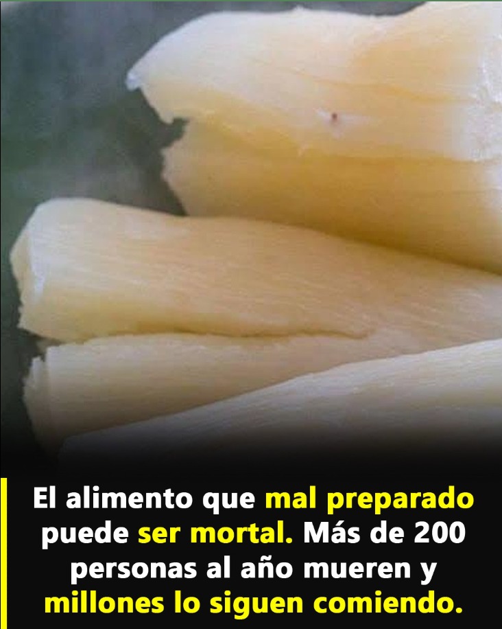 trozos de yuca