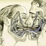 Lo que Sucede cuando nos Besamos con Lengua: Una Exploración Científica y Saludable