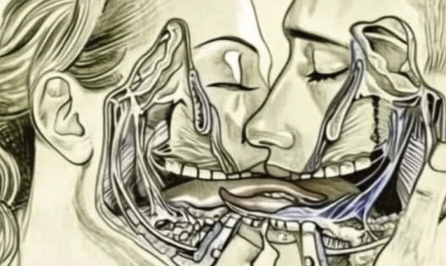 Lo que Sucede cuando nos Besamos con Lengua: Una Exploración Científica y Saludable