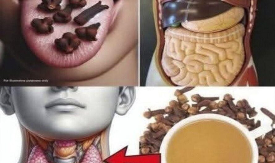 Clavos de Olor: Un Remedio Natural para la Digestión y la Salud de la Tiroides