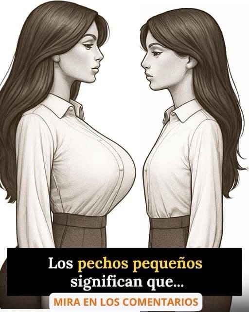 Ilustraciones de mujeres con diferentes tamaños de busto