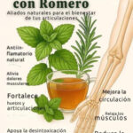 Beneficios de la Combinación de Hierbabuena y Romero