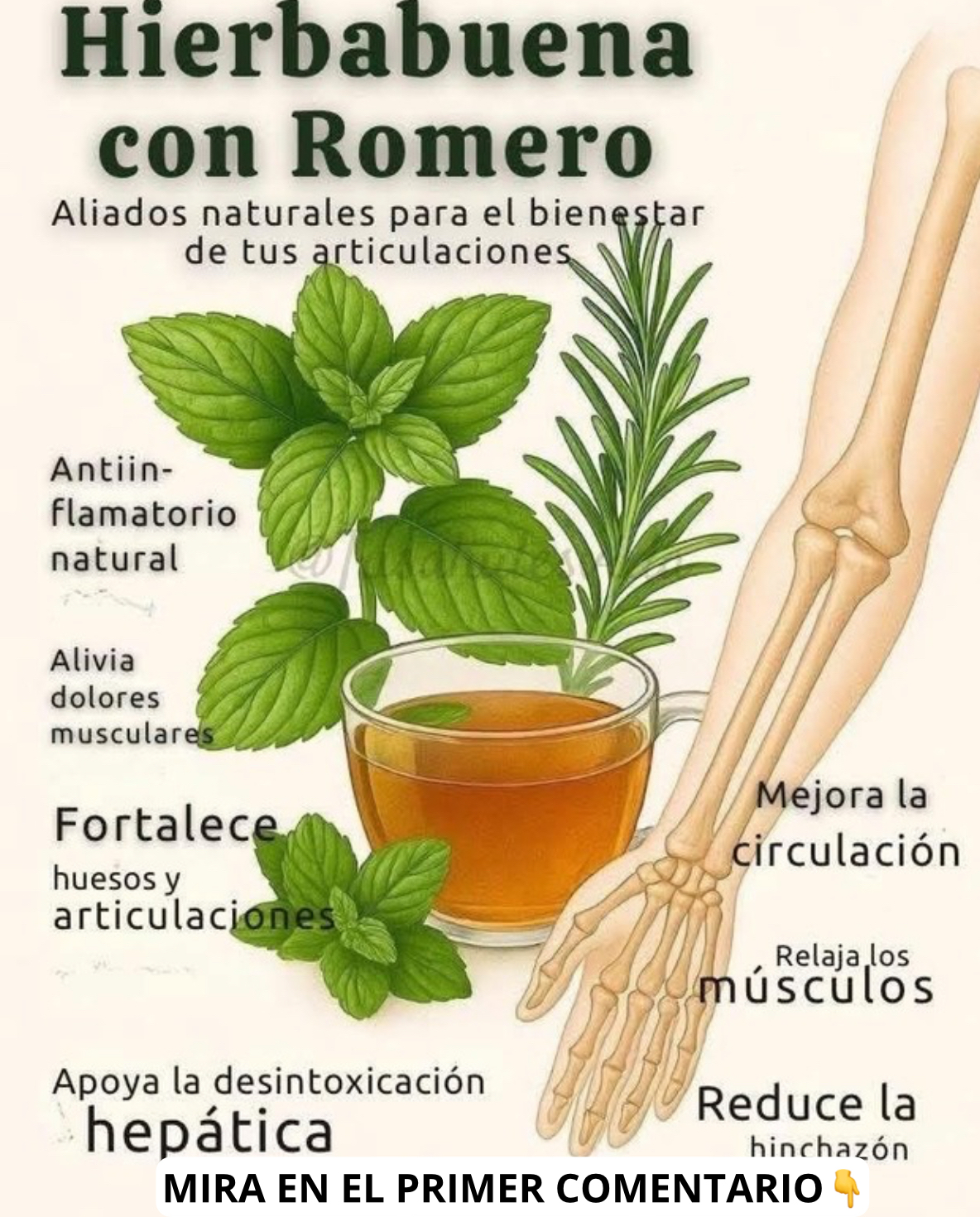 Infusión de hierbabuena y romero
