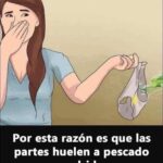 ¿Por Qué La Ropa Interior Fememina Huele Mal? Causas y Soluciones