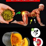 ¡Incorporar Semillas de Calabaza a tu Dieta Diaria: Beneficios para tu Cuerpo!