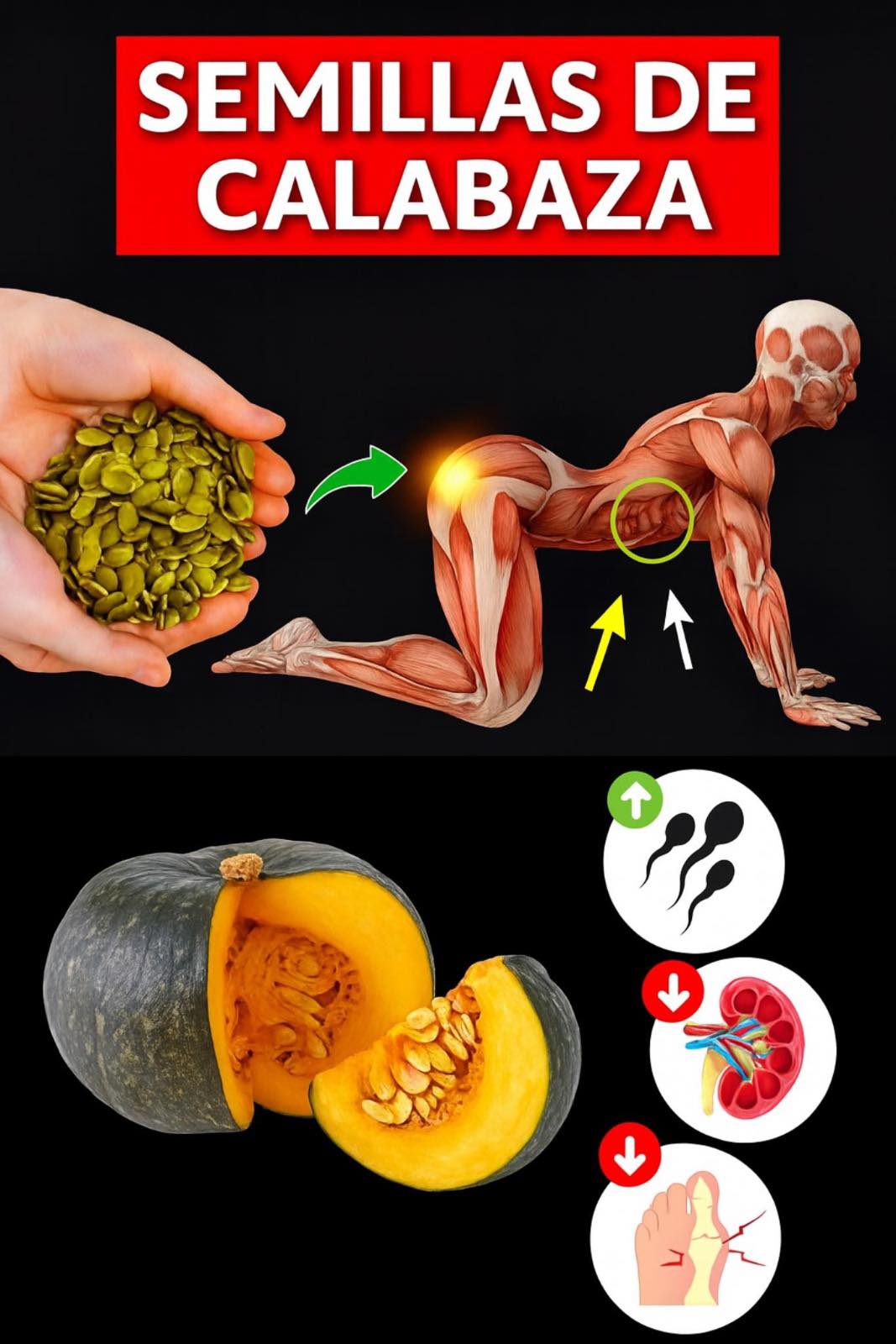 Semillas de calabaza y beneficios para la salud