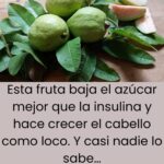 Si Tienes Esta Fruta en Casa, Tienes un Tesoro: Guayaba, el Regalo Natural para Tu Salud