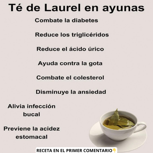 Té de Laurel en Ayunas