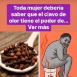 El Poder Esencial del Clavo de Olor: Beneficios y Usos para la Salud Femenina
