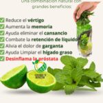 Disfruta de los Beneficios del Jugo de Hierbabuena con Limón: Una Bebida Natural para tu Salud