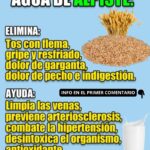 Beneficios del Agua de Alpiste: Tu Aliado Natural para la Salud