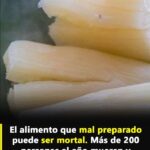 Yuca: Deliciosa pero Peligrosa si No se Prepara Correctamente