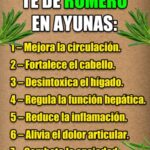 Té de Romero en Ayunas: 20 Beneficios Asombrosos y Cómo Prepararlo