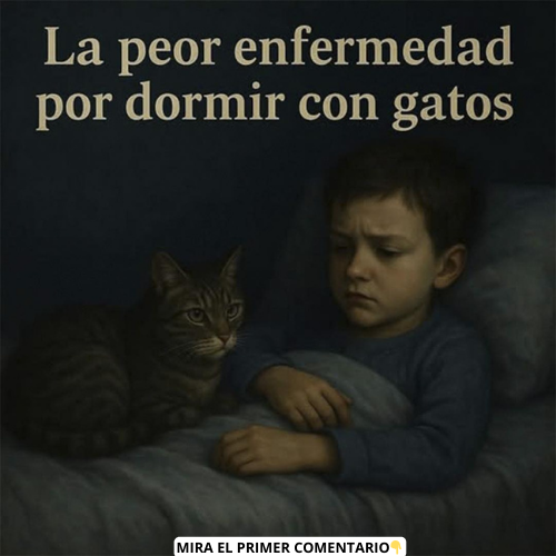 Niño durmiendo con un gato
