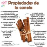 Descubre las Múltiples Propiedades de la Canela: Un Remedio Natural para tu Salud