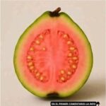 Beneficios y Usos del Té de Hojas de Guayaba para la Salud