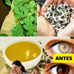 30 Beneficios de las Semillas de Moringa que Nunca Oirás de tu Médico