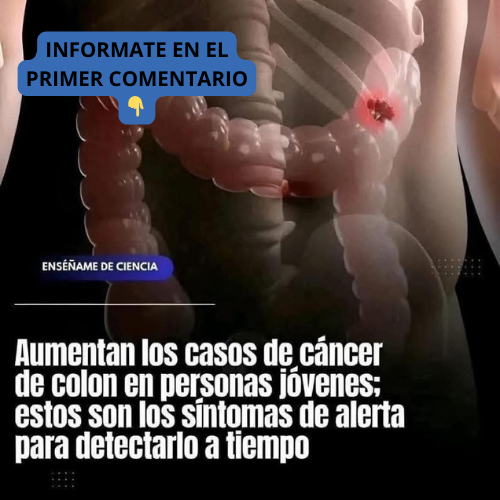 Ilustración del sistema digestivo humano resaltando el colon