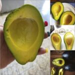 Los Incalculables Beneficios de Comer Aguacate Todos los Días